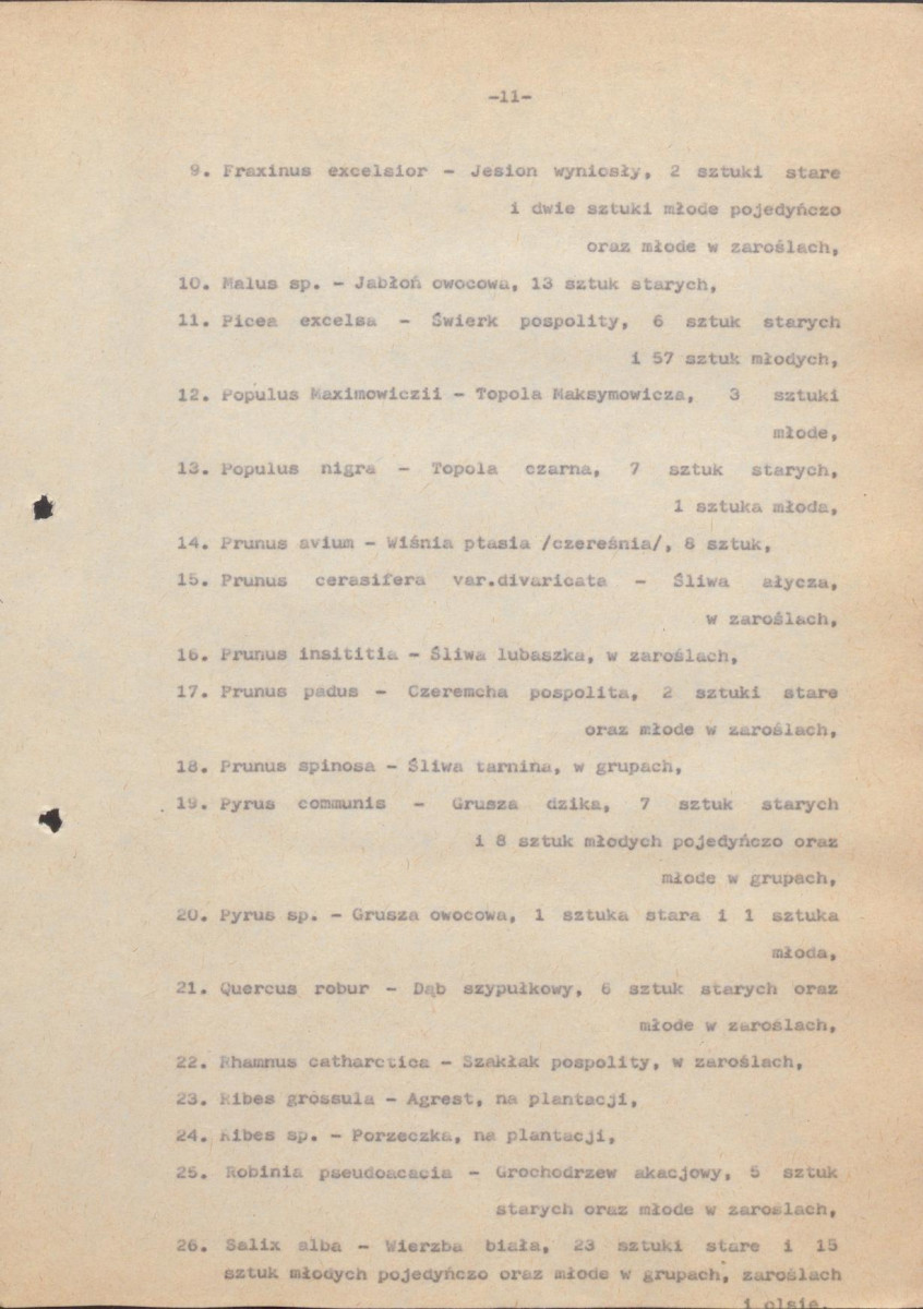 EP - Ewidencja parkowa, skan nr 21