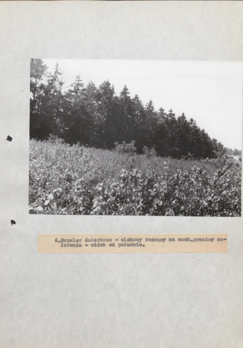 EP - Ewidencja parkowa, skan nr 32