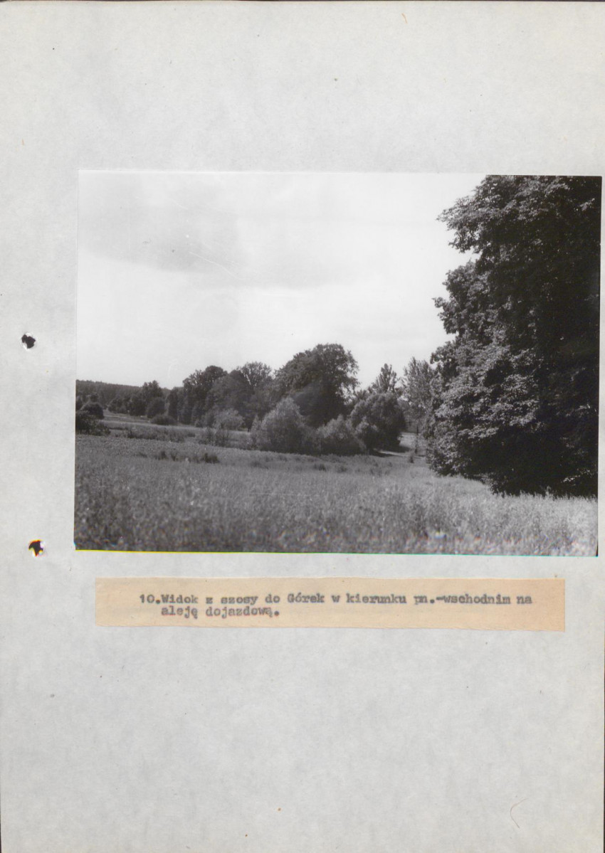 EP - Ewidencja parkowa, skan nr 36