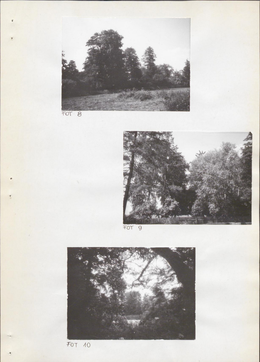 Ewidencja parkowa, skan nr 29