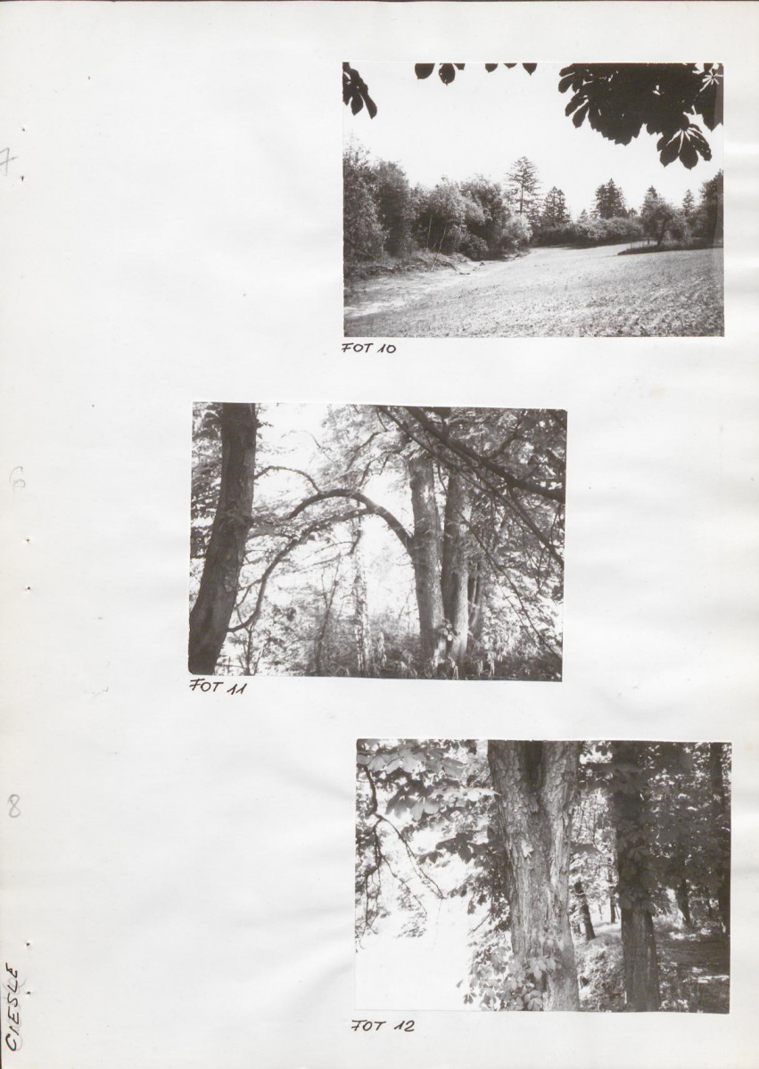 Ewidencja parkowa, skan nr 25