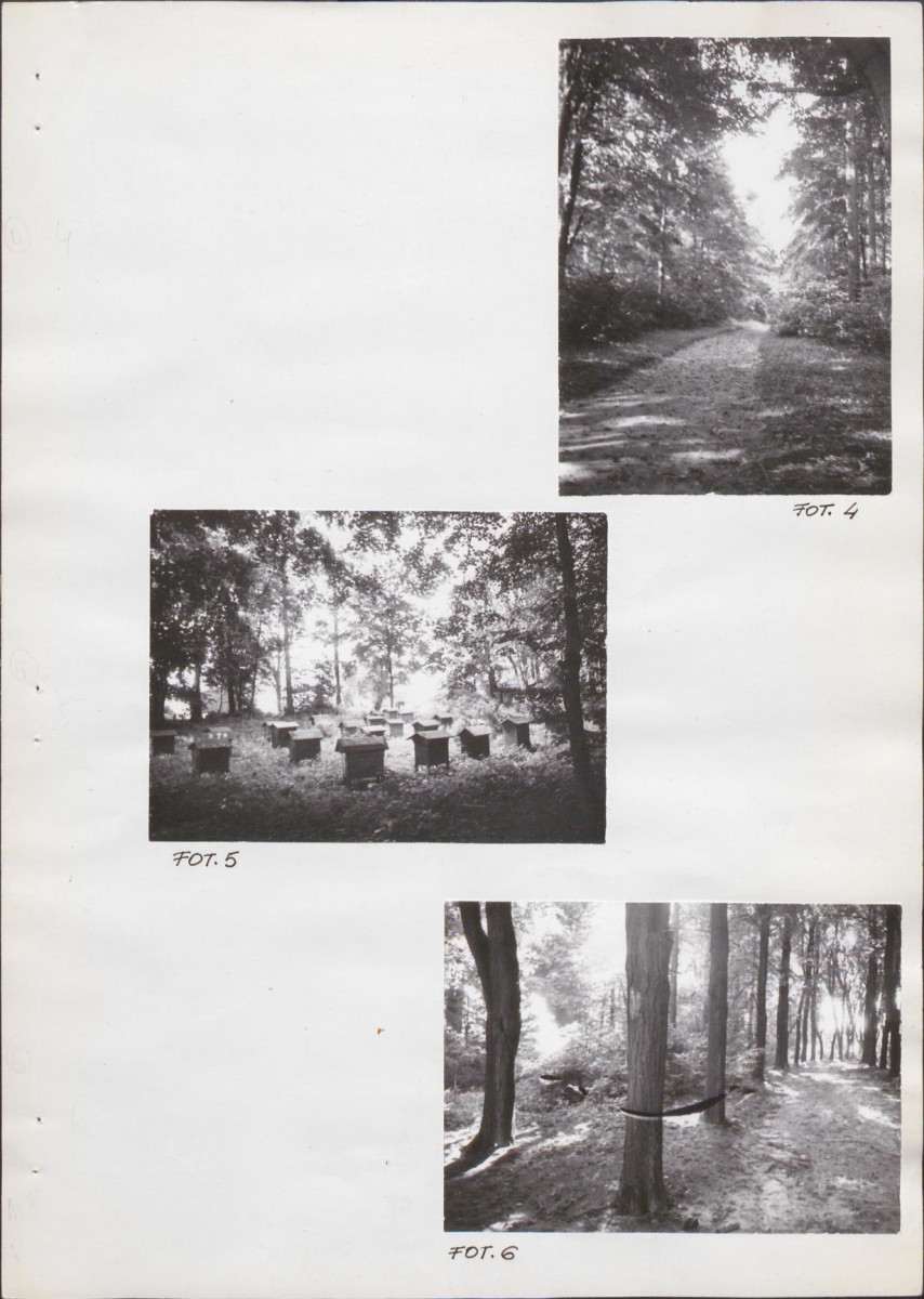 Ewidencja parkowa, skan nr 32