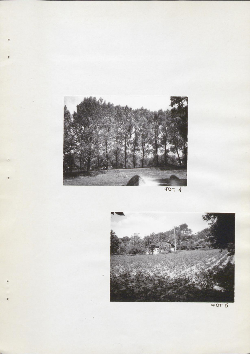 Ewidencja parkowa, skan nr 19
