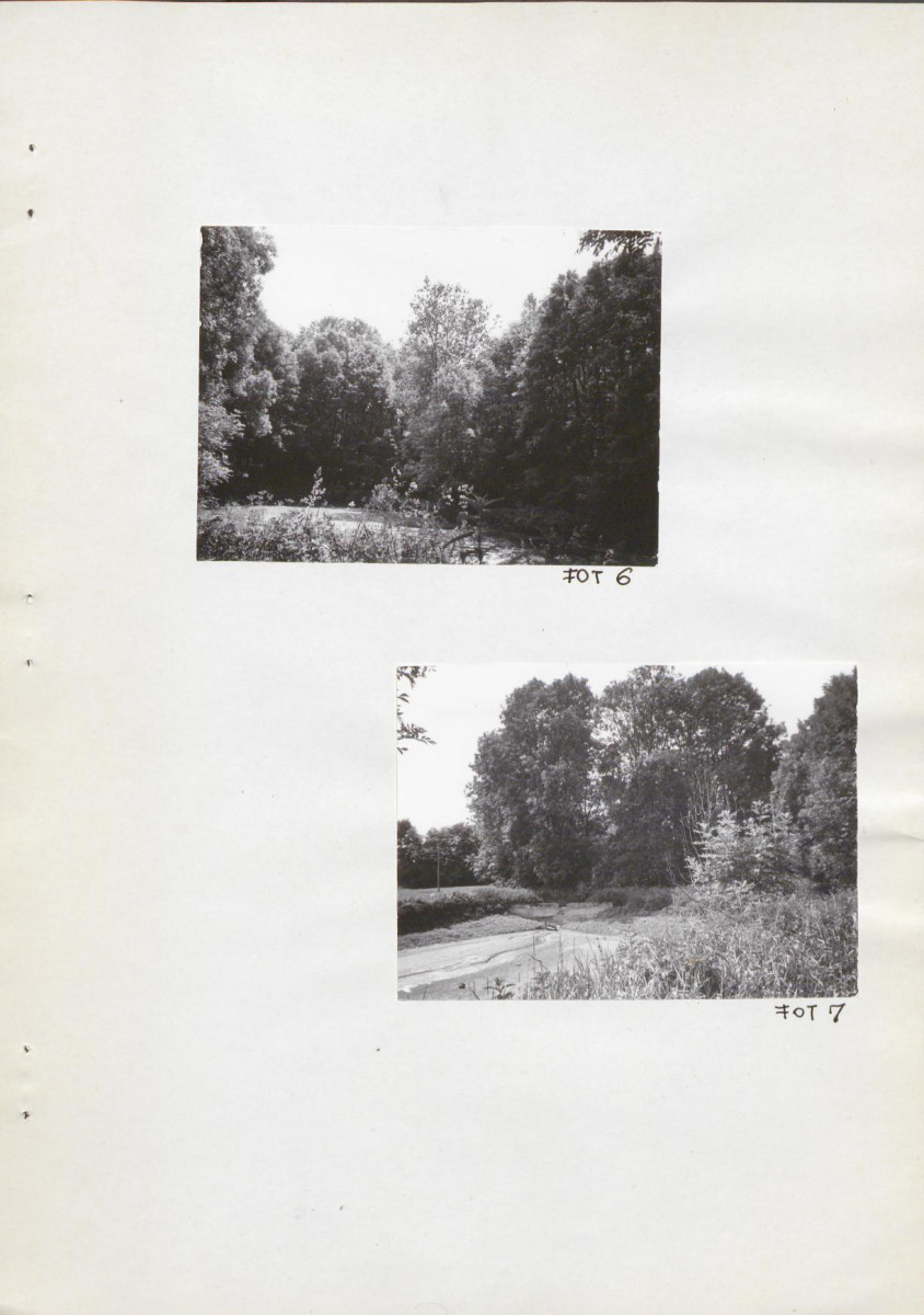 Ewidencja parkowa, skan nr 20