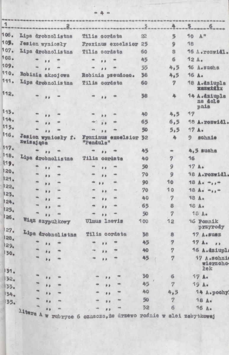 Ewidencja parkowa, skan nr 17
