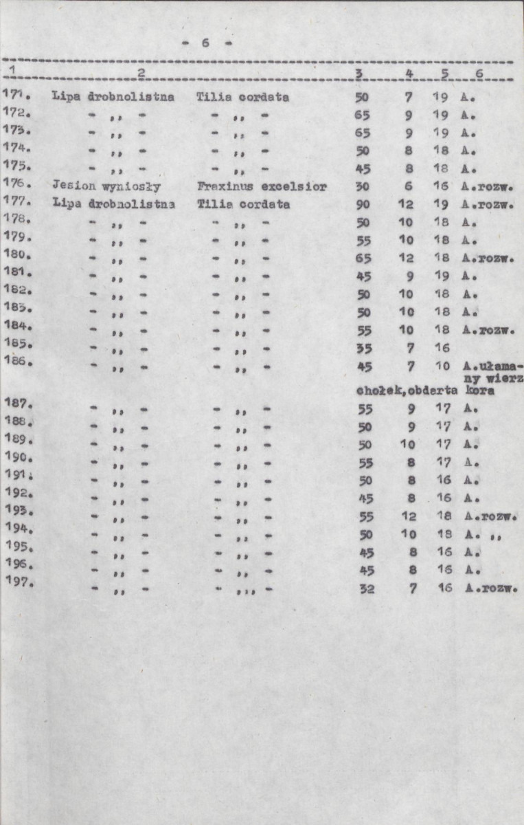 Ewidencja parkowa, skan nr 19