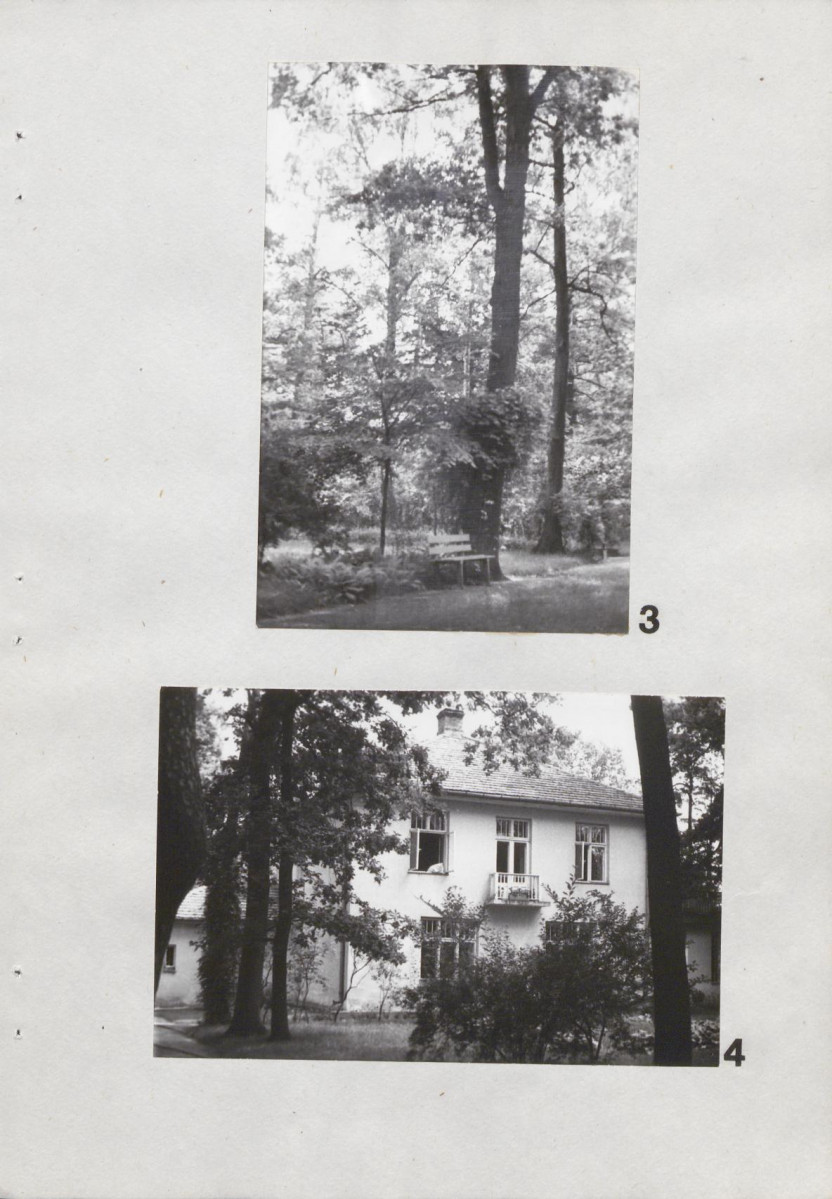 Ewidencja parkowa, skan nr 19