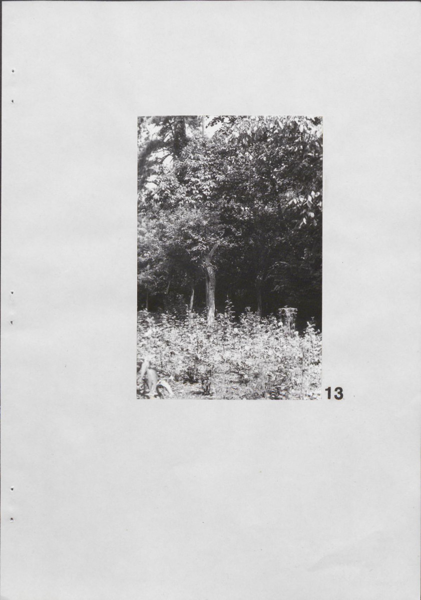 Ewidencja parkowa, skan nr 24