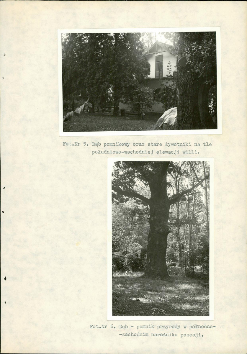 EP - Ewidencja parkowa, skan nr 22