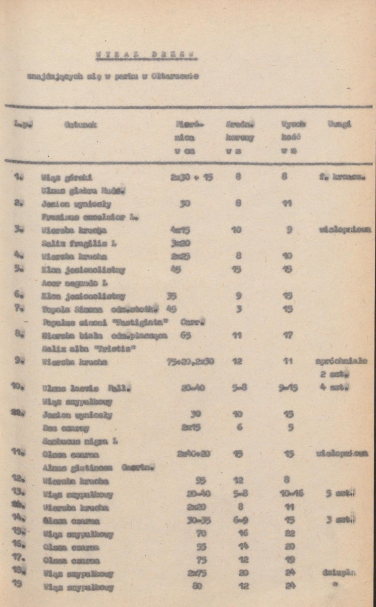 Ewidencja parkowa, skan nr 16