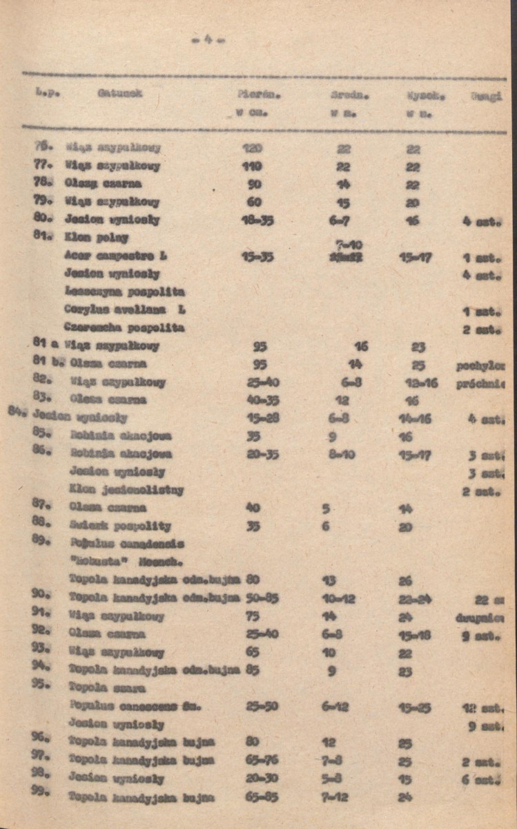 Ewidencja parkowa, skan nr 19