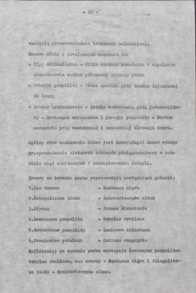 Ewidencja parkowa, skan nr 28