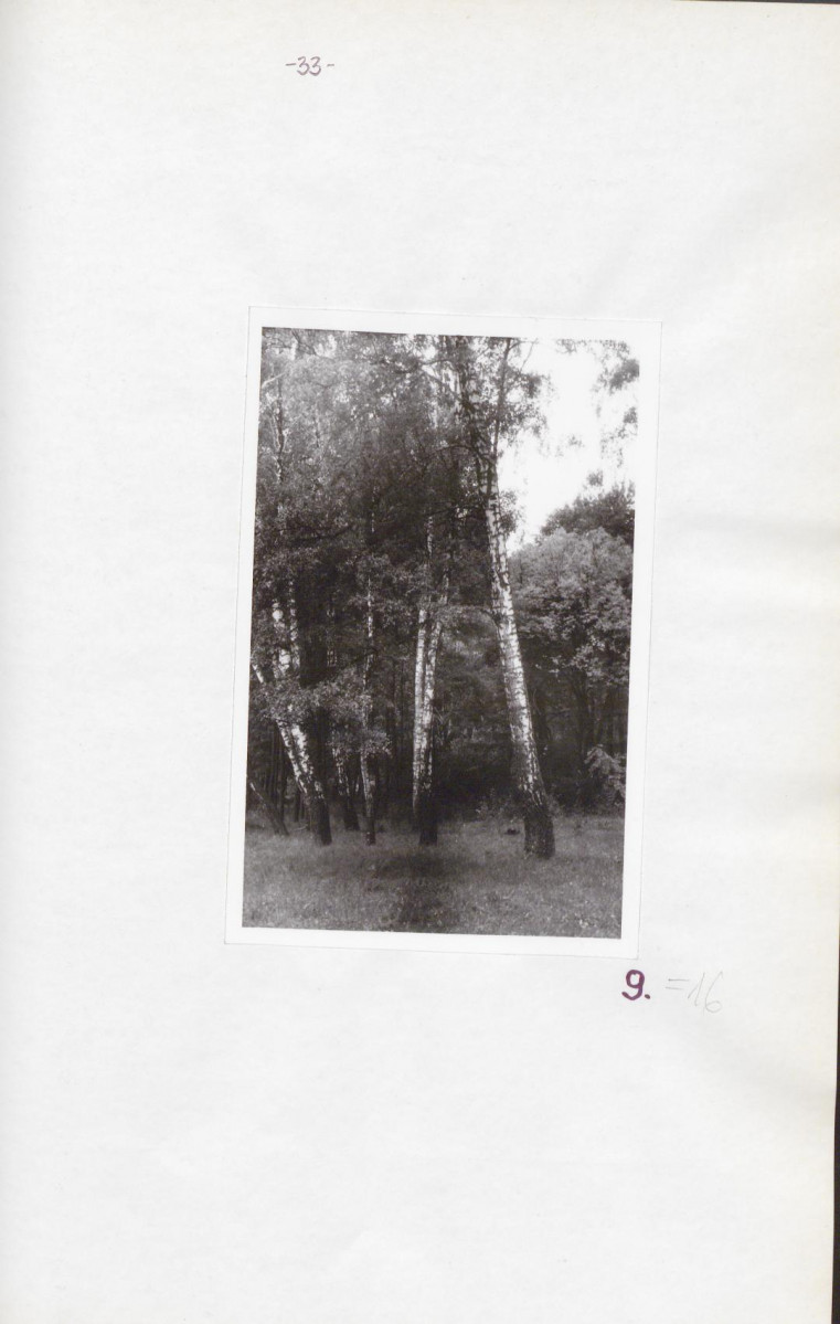EP - Ewidencja parkowa, skan nr 37