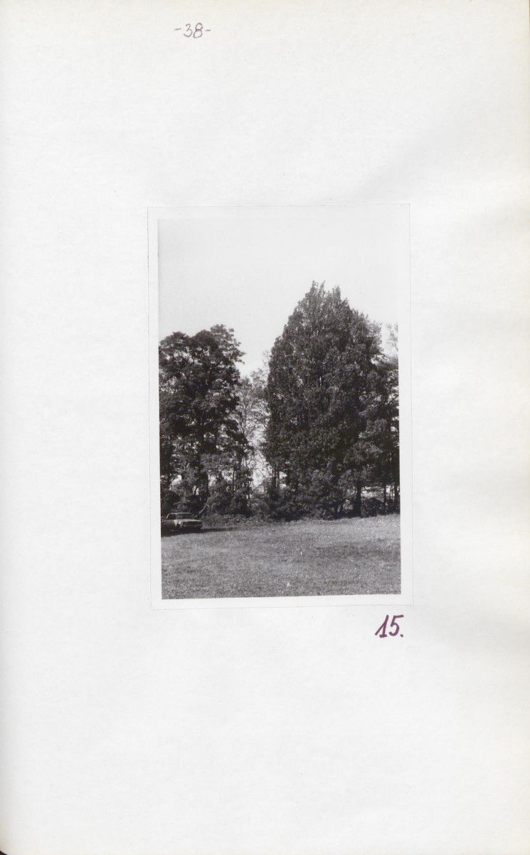EP - Ewidencja parkowa, skan nr 42