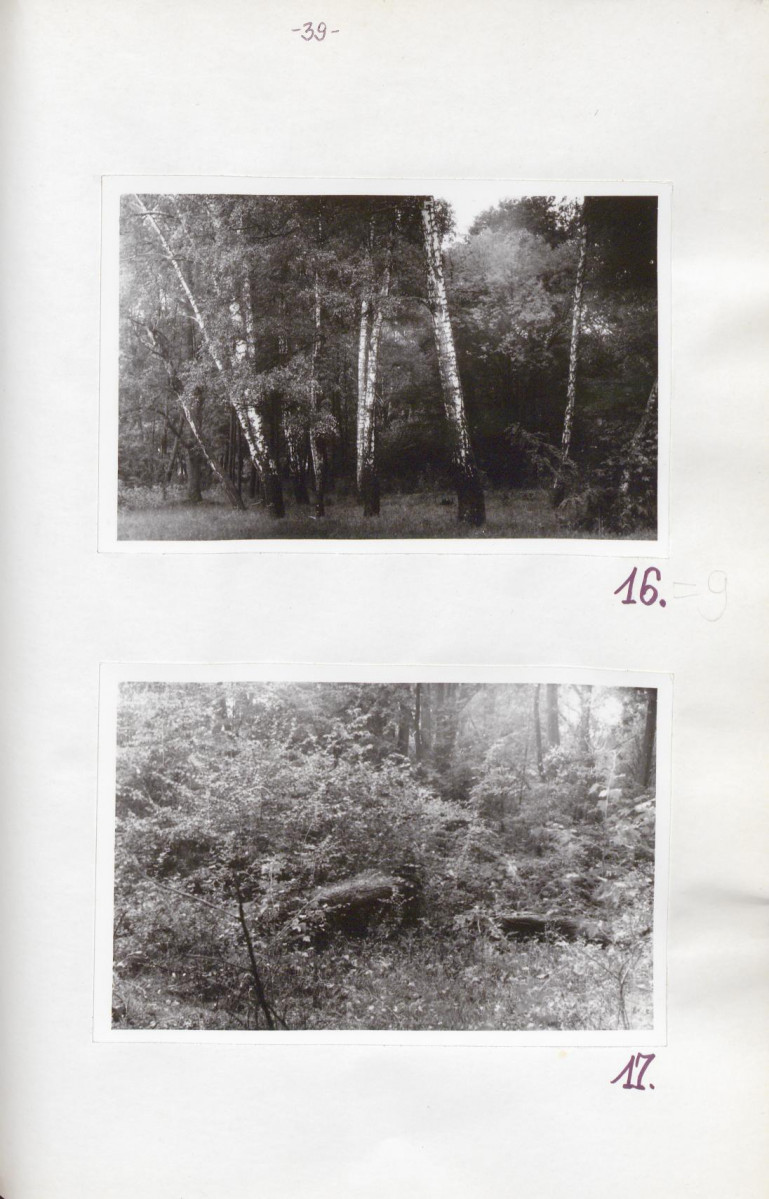 EP - Ewidencja parkowa, skan nr 43