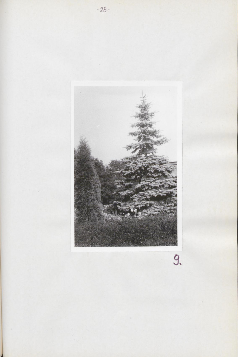Ewidencja parkowa, skan nr 33