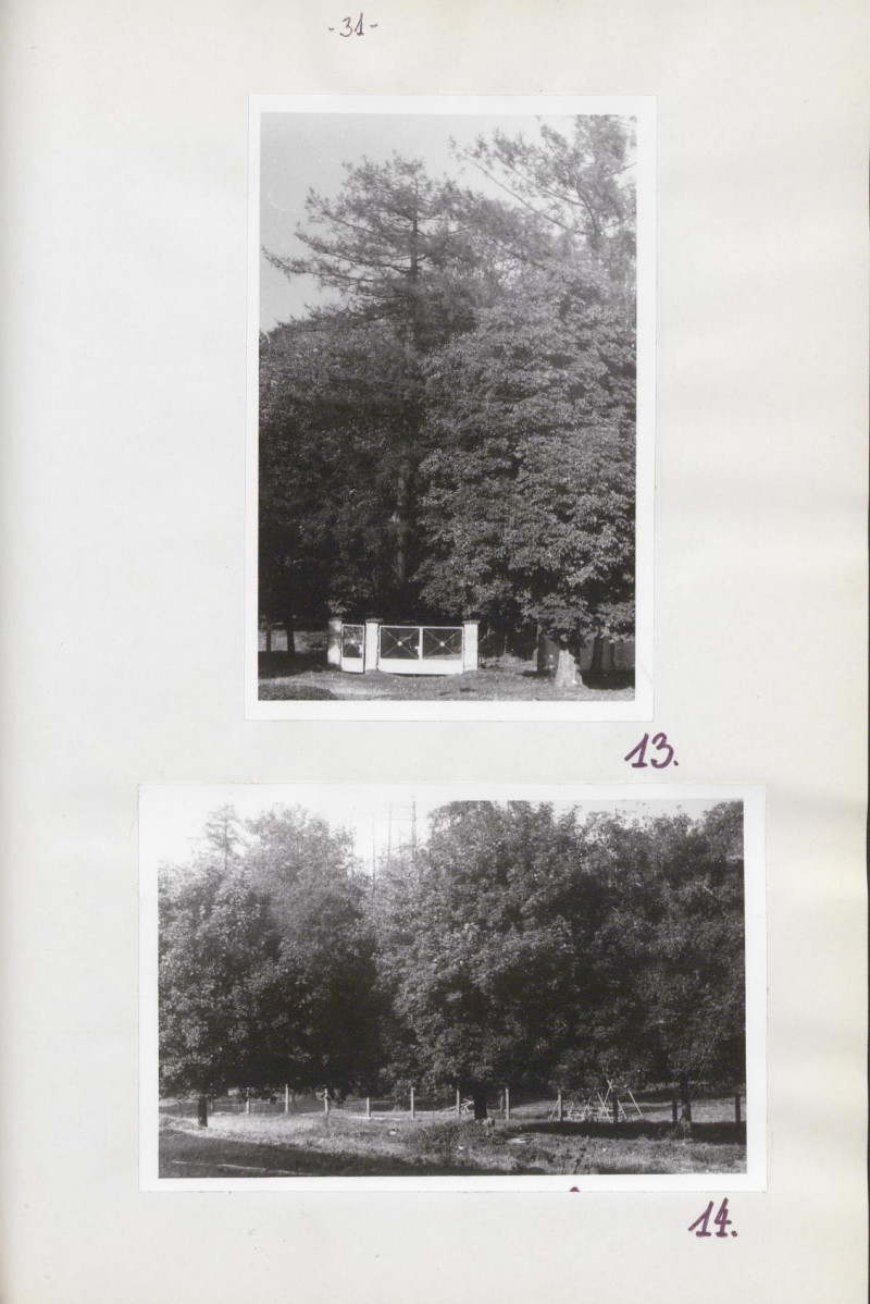 Ewidencja parkowa, skan nr 36