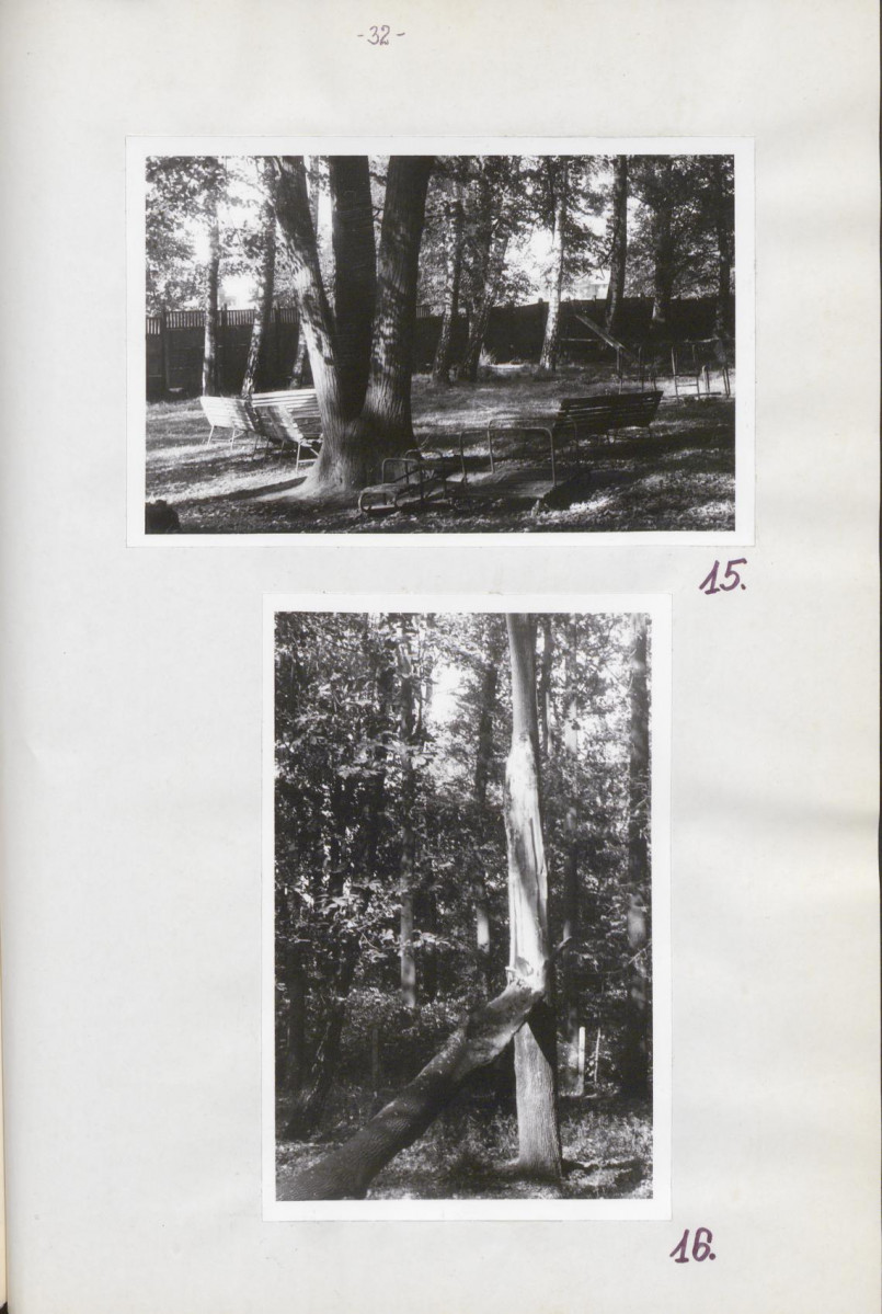 Ewidencja parkowa, skan nr 37