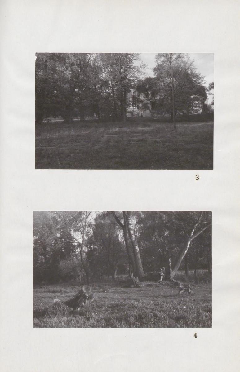 Ewidencja parkowa, skan nr 26