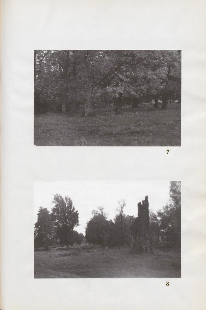 Ewidencja parkowa, skan nr 28