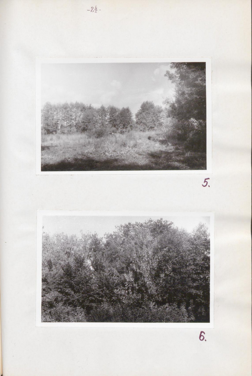 Ewidencja parkowa, skan nr 29