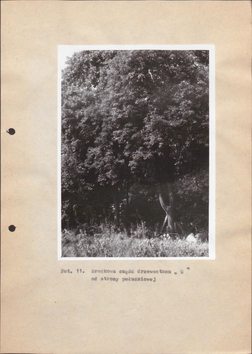 EP - Ewidencja parkowa, skan nr 37