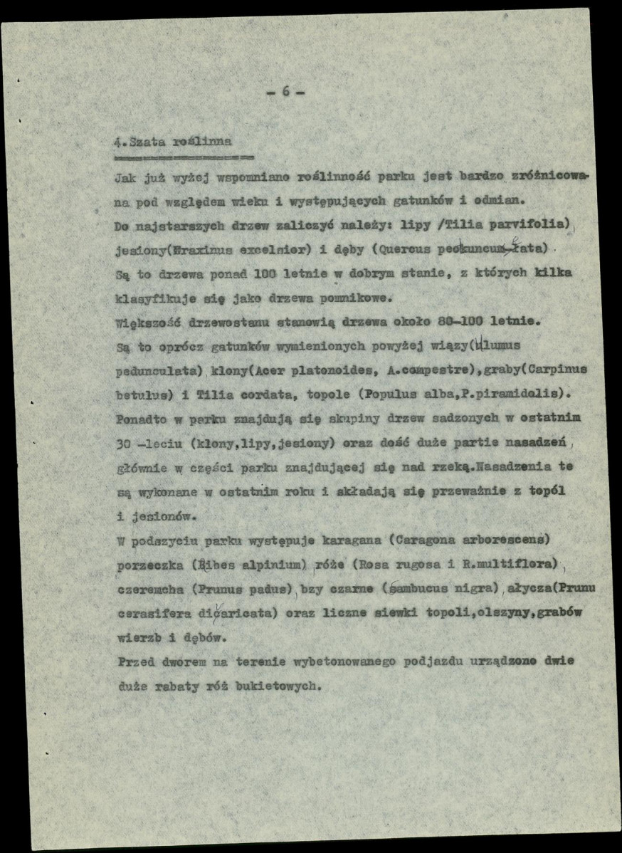 Ewidencja parkowa, skan nr 13