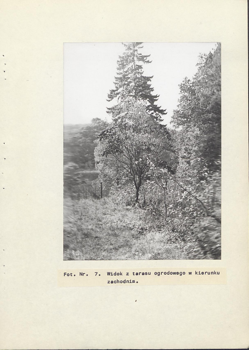Ewidencja parkowa, skan nr 33