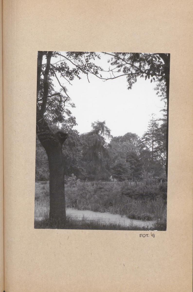 Ewidencja parkowa, skan nr 36