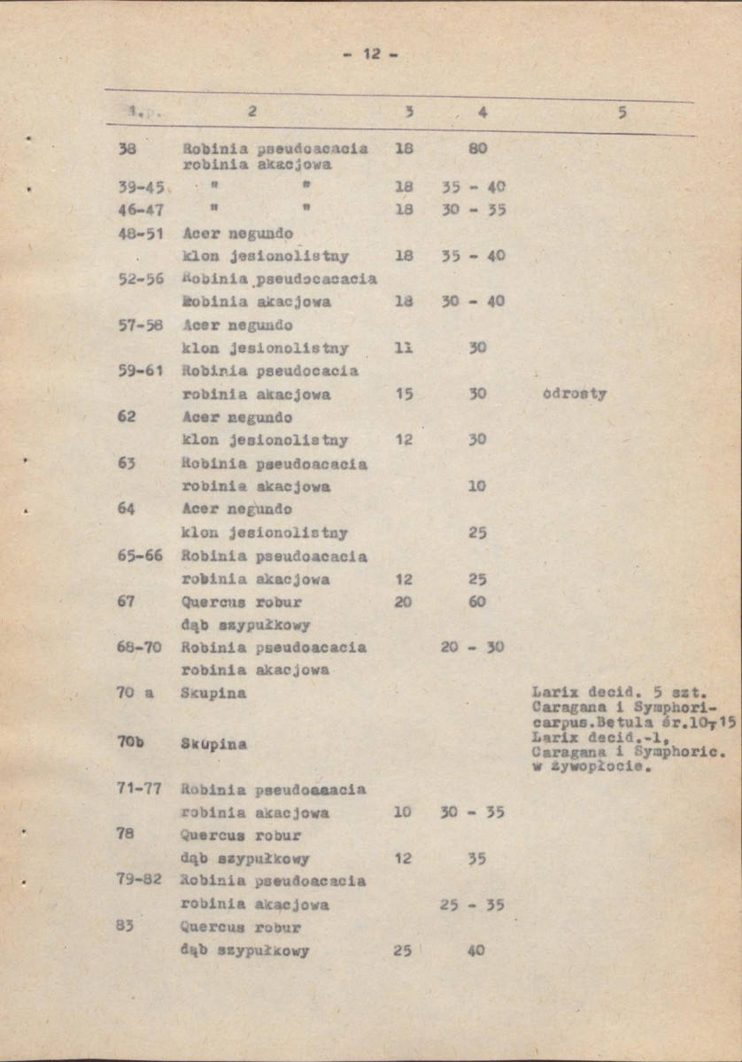 Ewidencja parkowa, skan nr 21