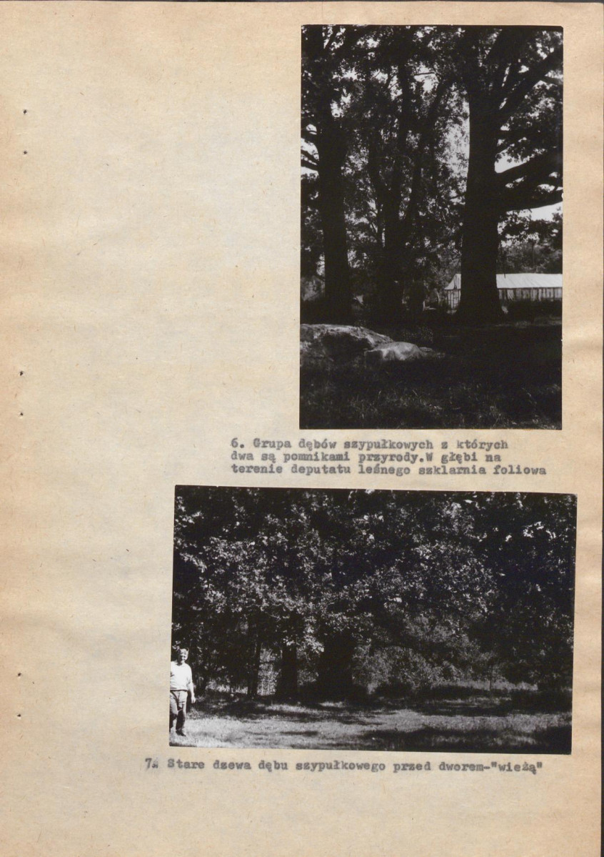 Ewidencja parkowa, skan nr 32