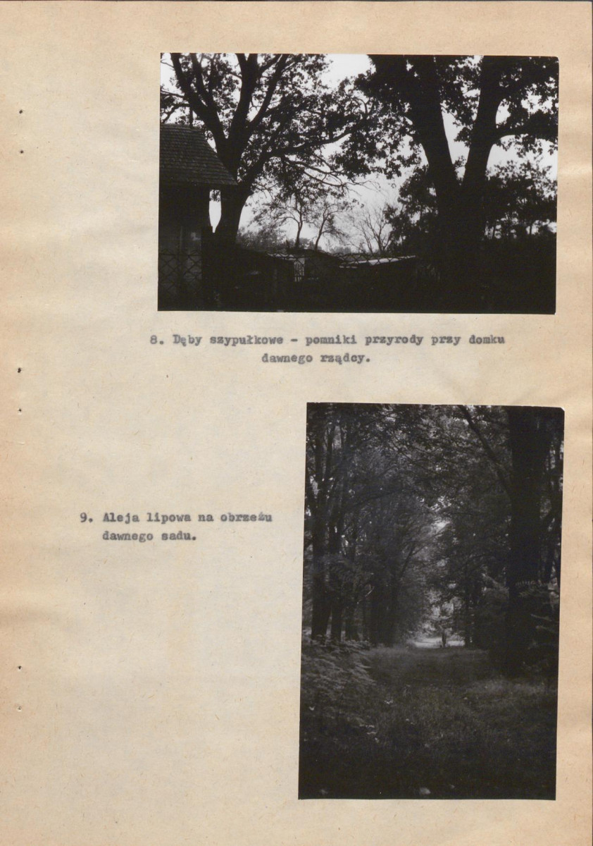 Ewidencja parkowa, skan nr 33