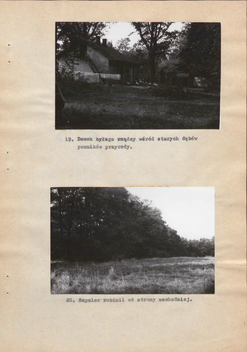 Ewidencja parkowa, skan nr 39