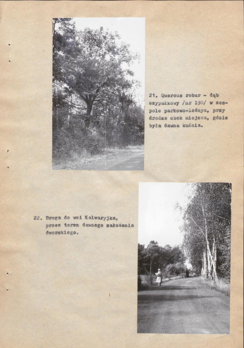 Ewidencja parkowa, skan nr 40
