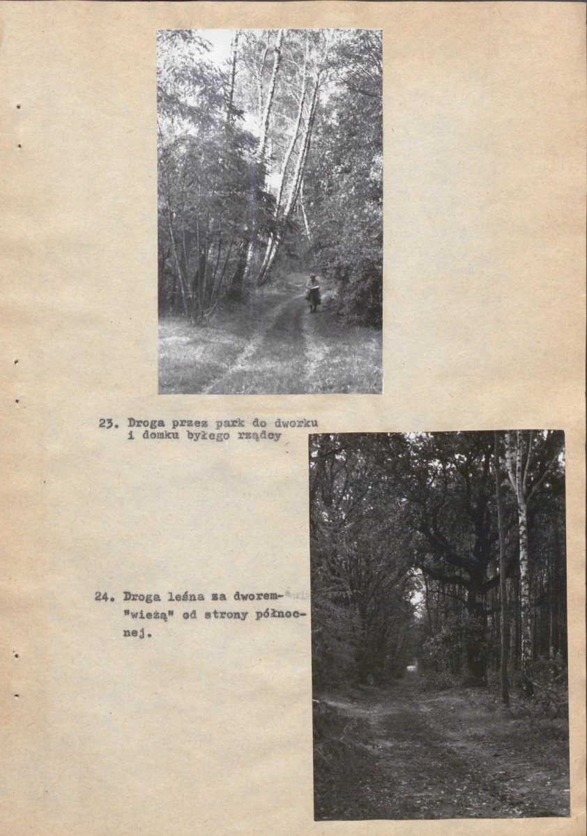 Ewidencja parkowa, skan nr 41