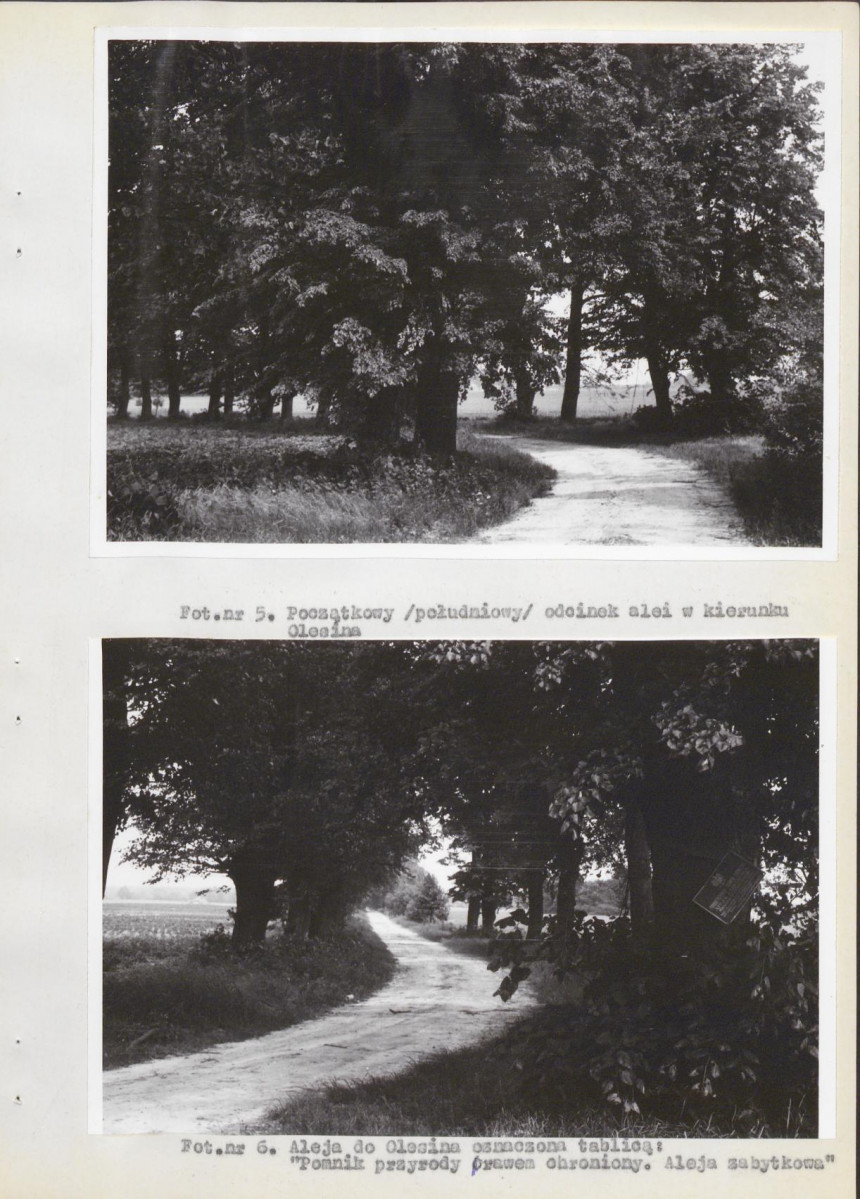 Ewidencja parkowa, skan nr 20