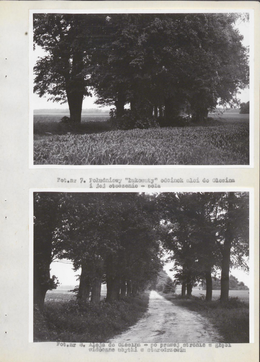 Ewidencja parkowa, skan nr 21