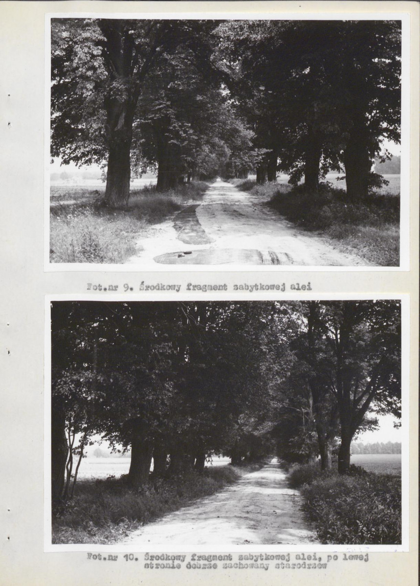 Ewidencja parkowa, skan nr 22