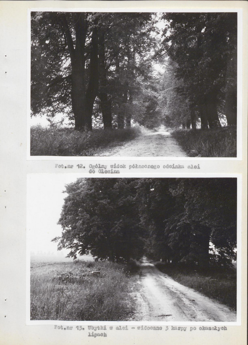 Ewidencja parkowa, skan nr 24