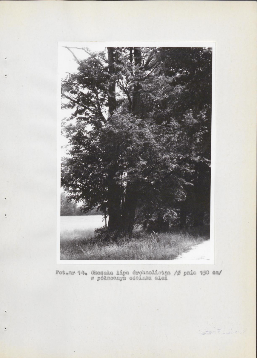 Ewidencja parkowa, skan nr 25