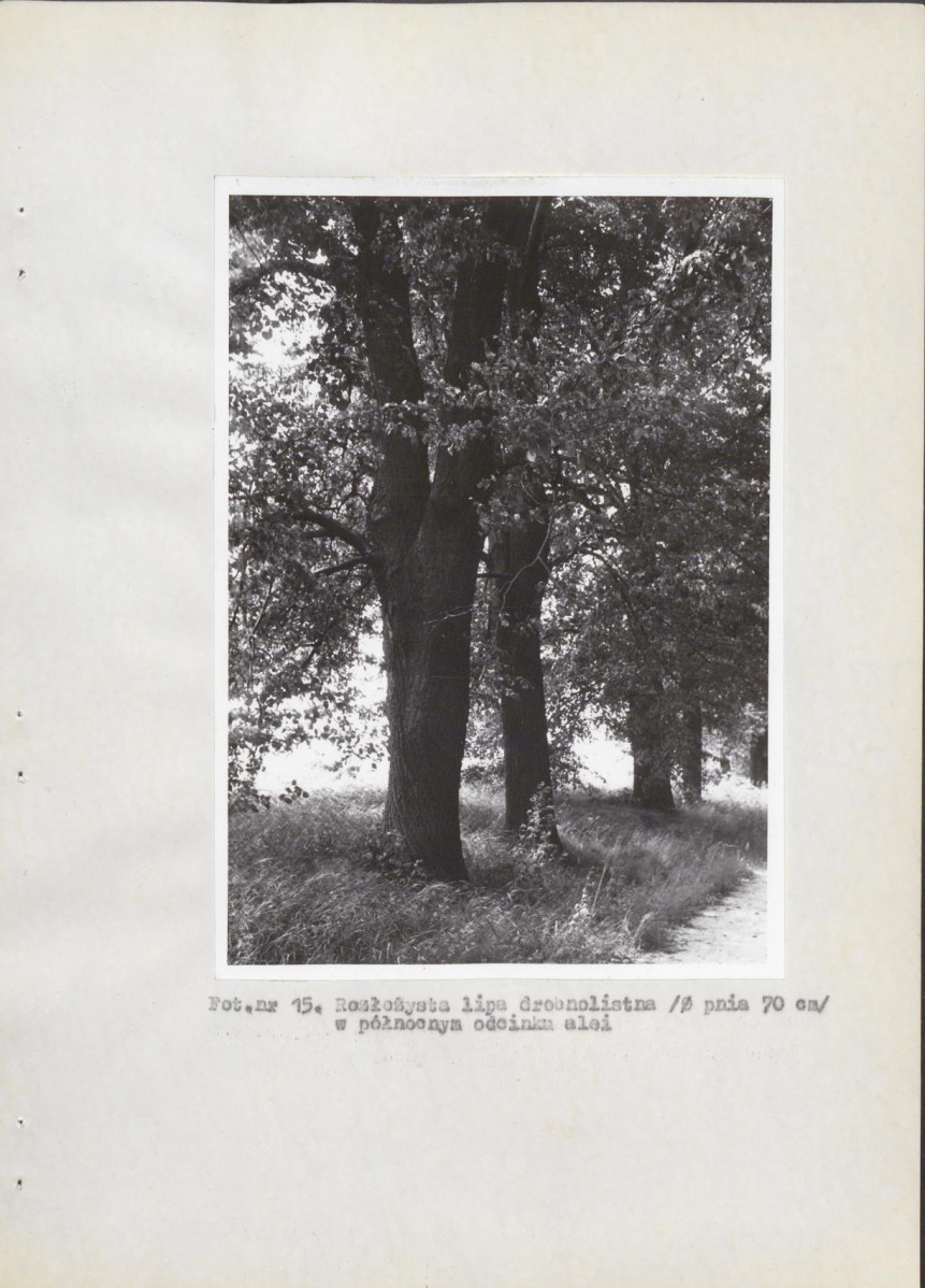 Ewidencja parkowa, skan nr 26