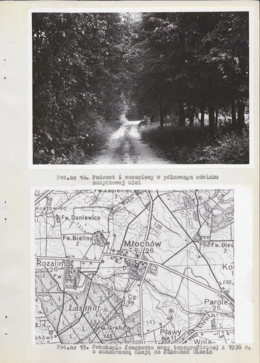 Ewidencja parkowa, skan nr 29