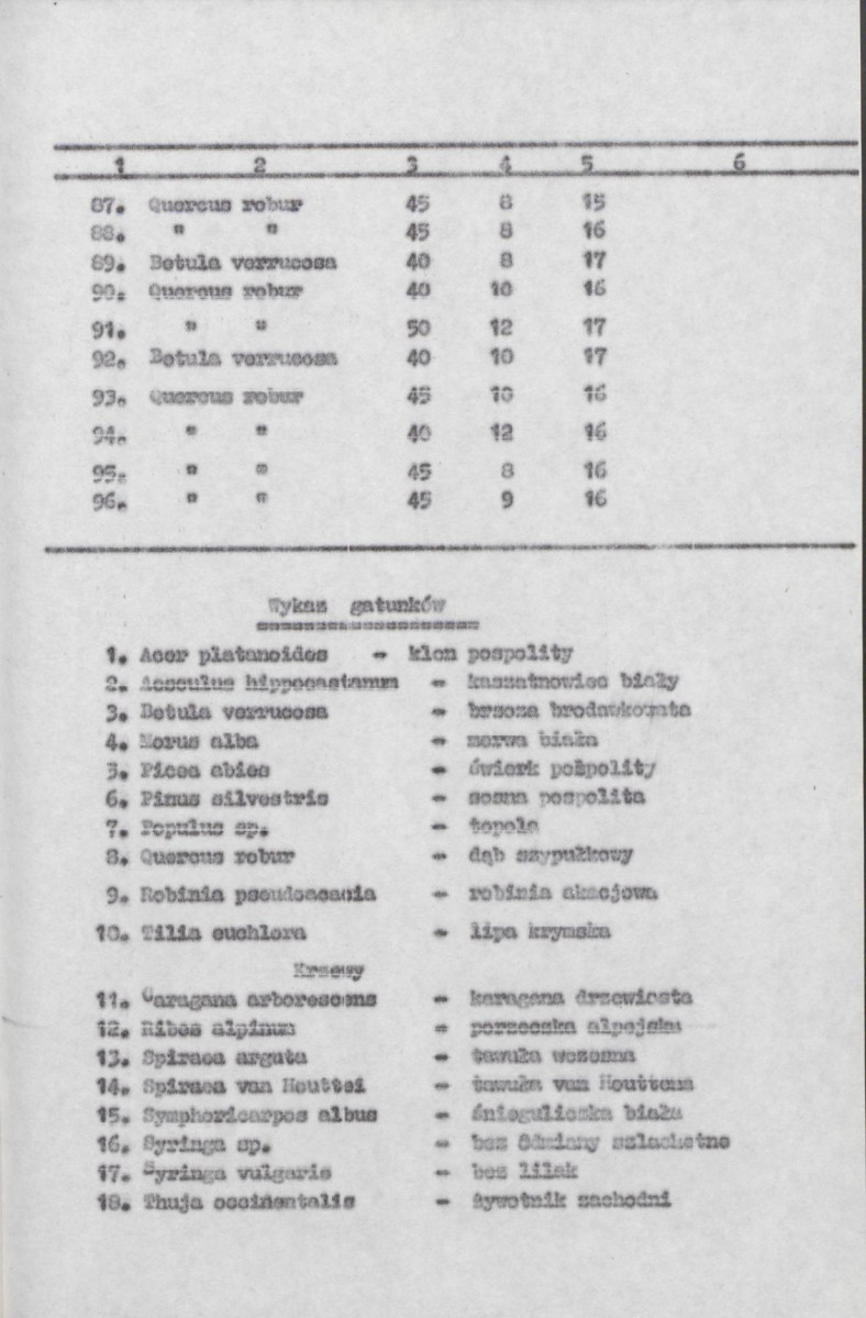 Ewidencja parkowa, skan nr 19