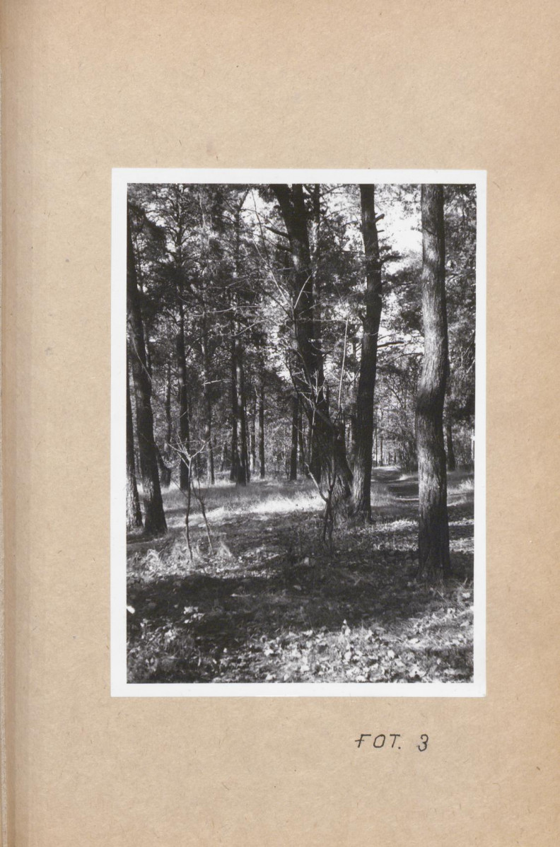 Ewidencja parkowa, skan nr 26