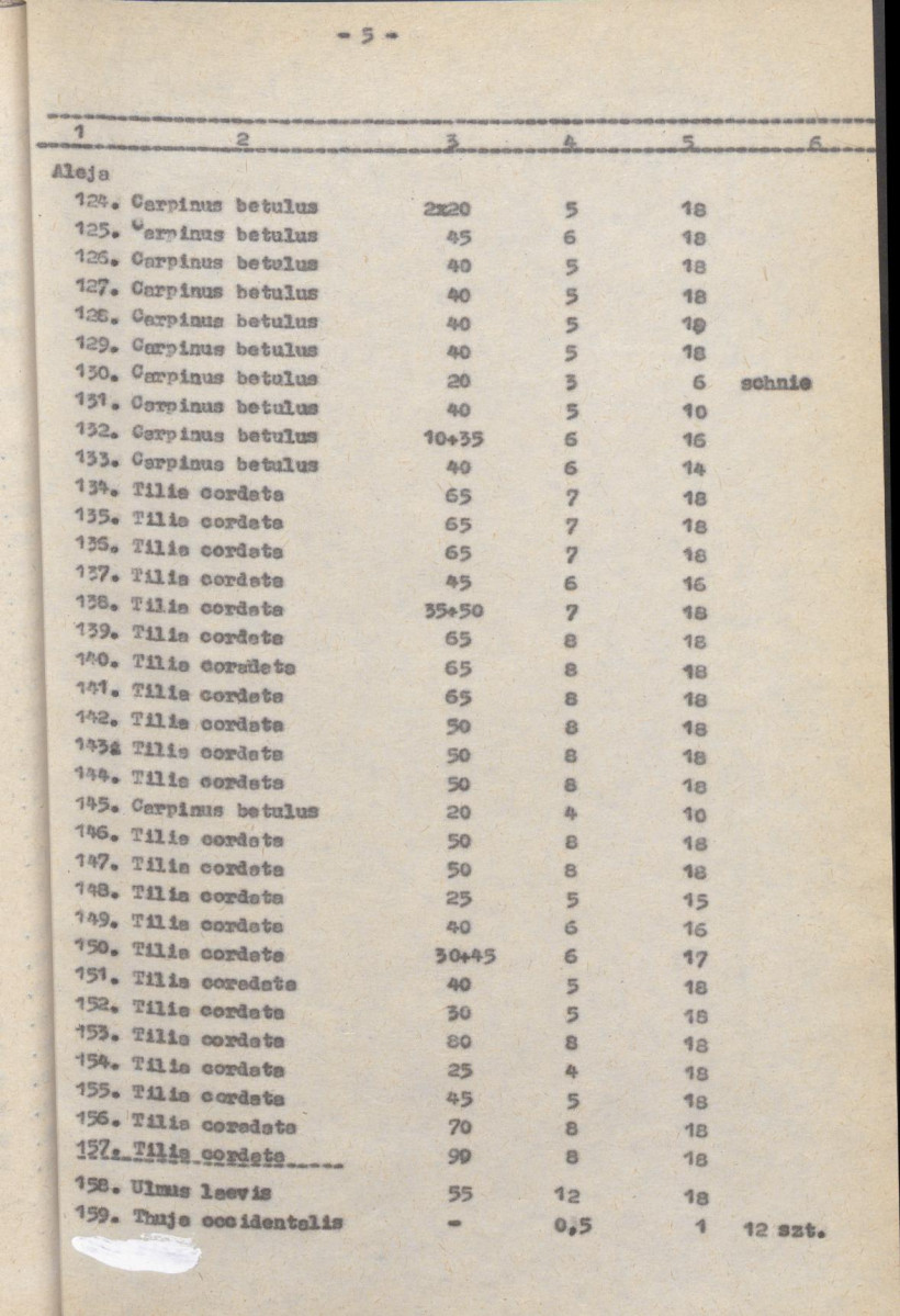 Ewidencja parkowa, skan nr 27
