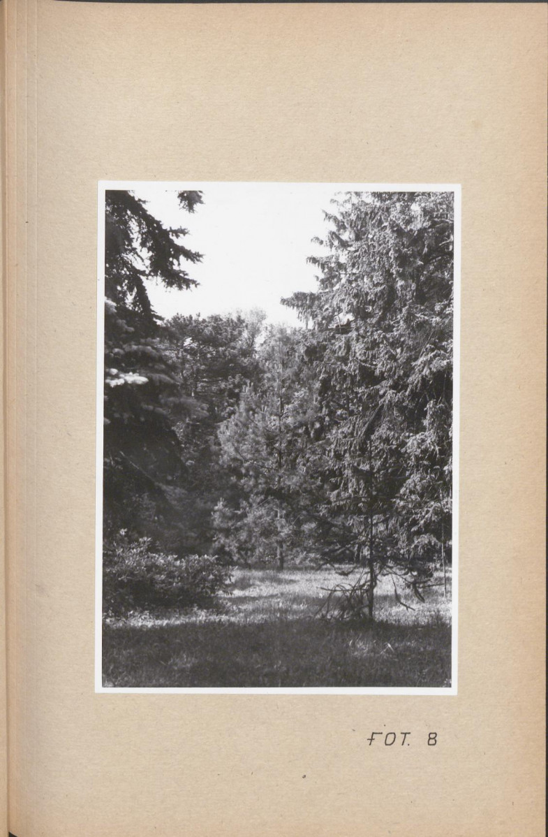 Ewidencja parkowa, skan nr 46