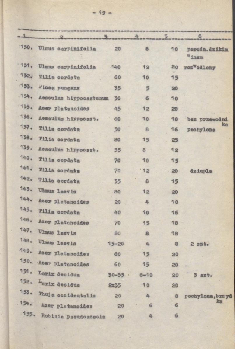 Ewidencja parkowa, skan nr 28