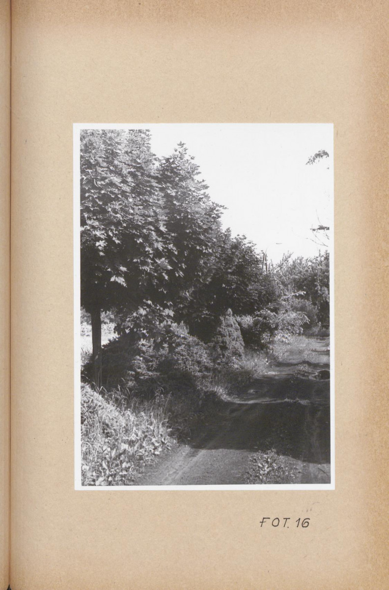 Ewidencja parkowa, skan nr 53