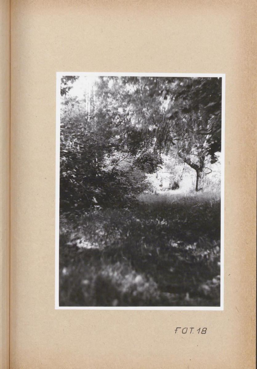 Ewidencja parkowa, skan nr 55