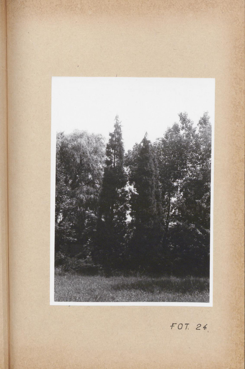 Ewidencja parkowa, skan nr 59